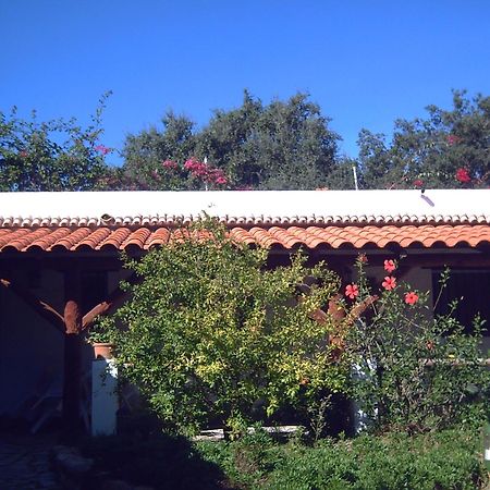 Finca El Abuelo Barbate Exteriör bild