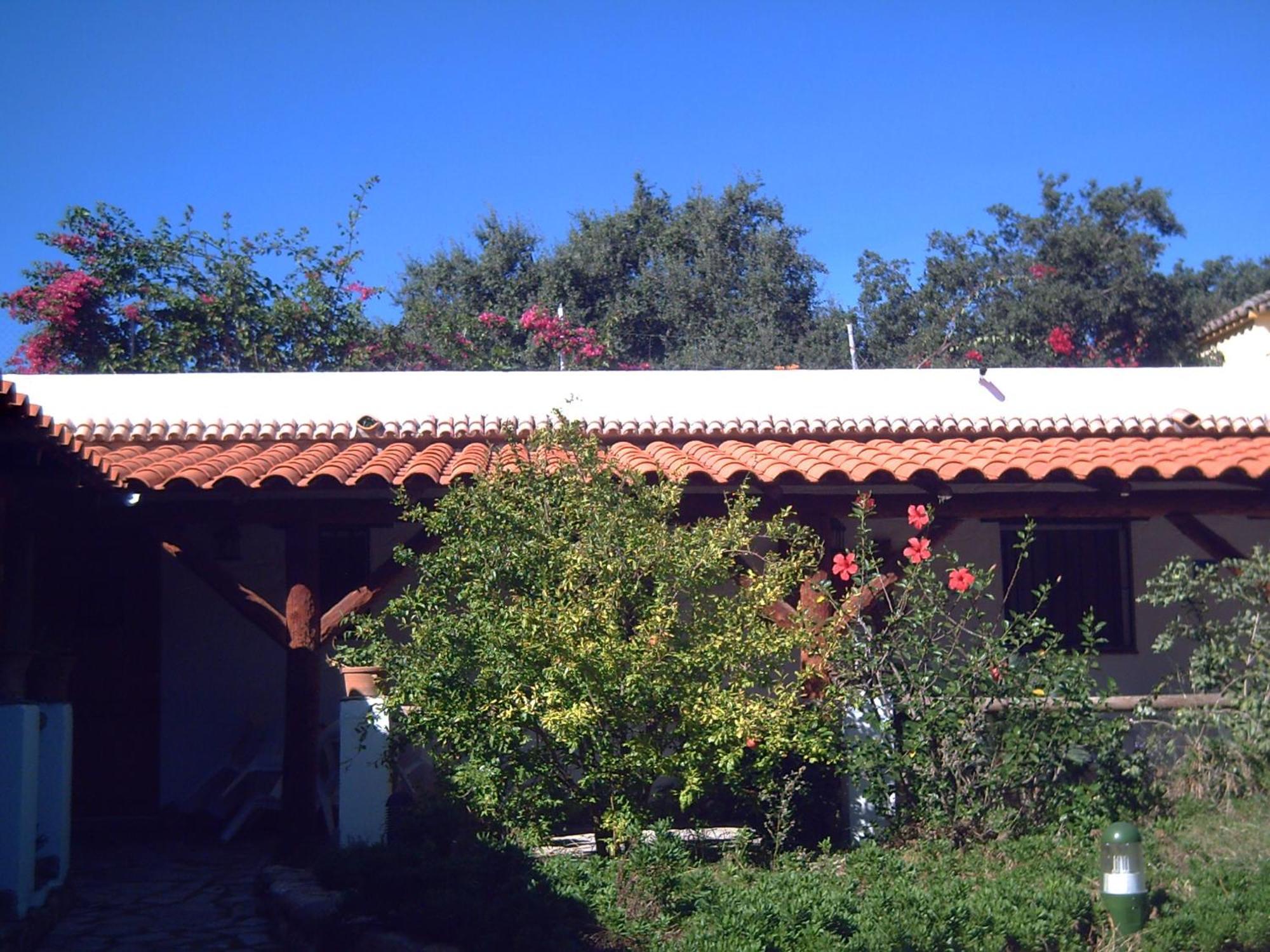 Finca El Abuelo Barbate Exteriör bild